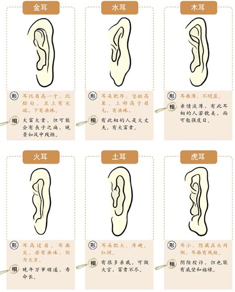 佛耳面相|十六种耳朵面相图文分析三六风水网